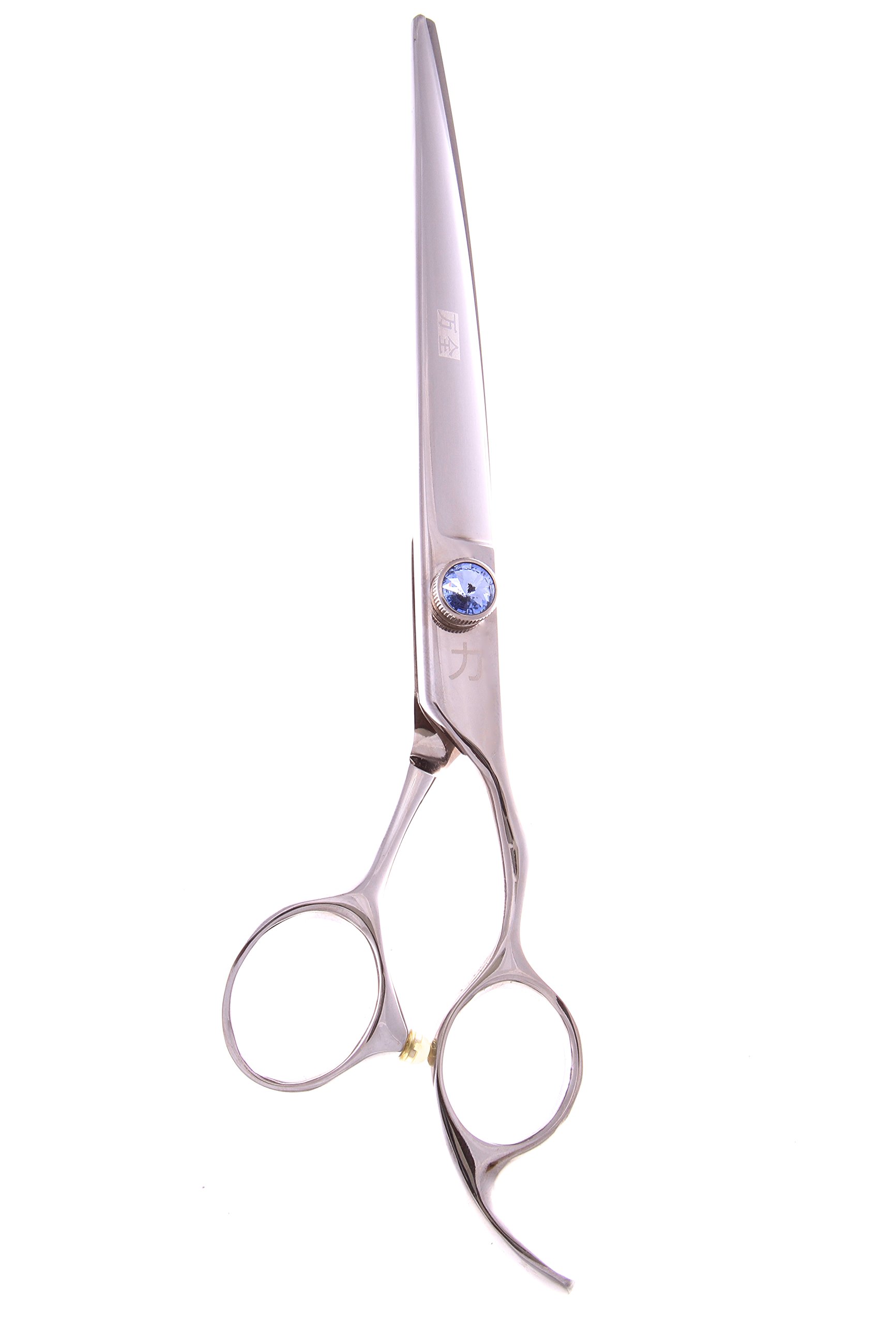 ShearsDirect Japanese 440C Curved Silver Titanium Cutting Shears with Blue Gem Stone Tension and Anatomic Thumb, 9.0-Inch by ShearsDirect